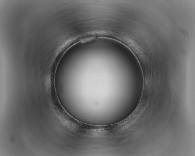 X0000112350112200908131436