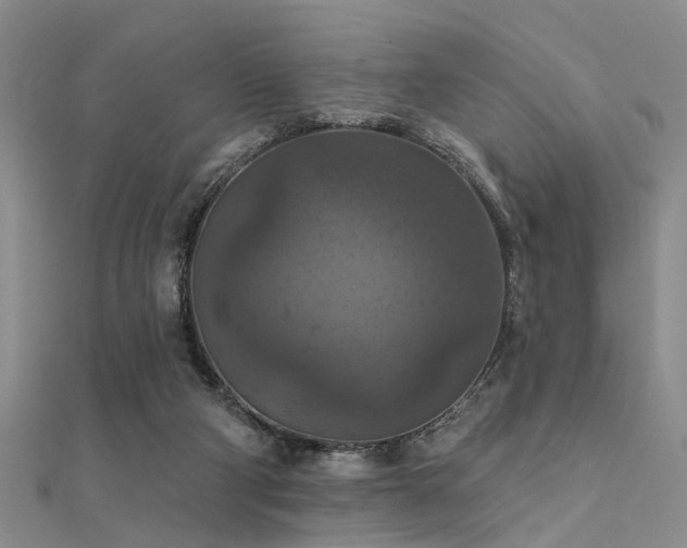 X0000112350114200908131436