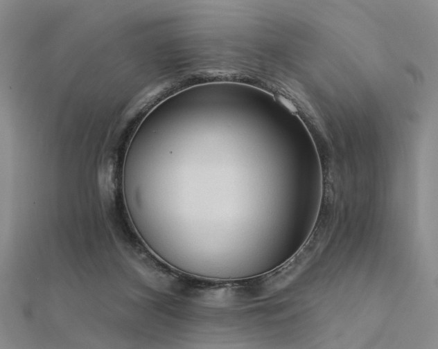 X0000112350116200908131436