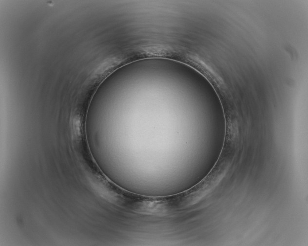 X0000112350117200908131436