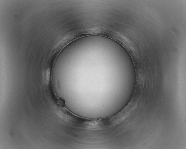 X0000112350118200908131436