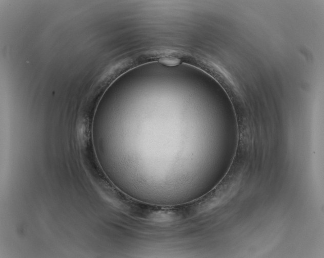 X0000112350119200908131436
