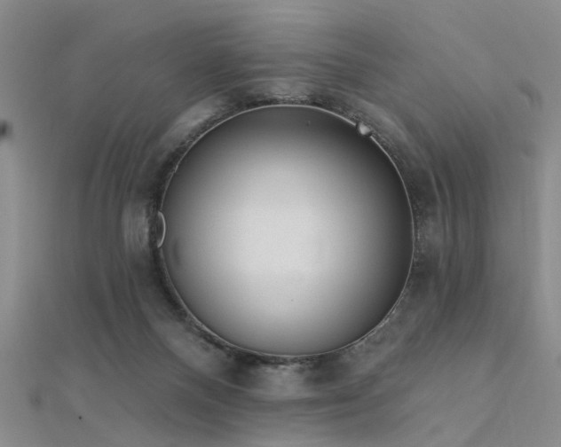 X0000112350120200908131436