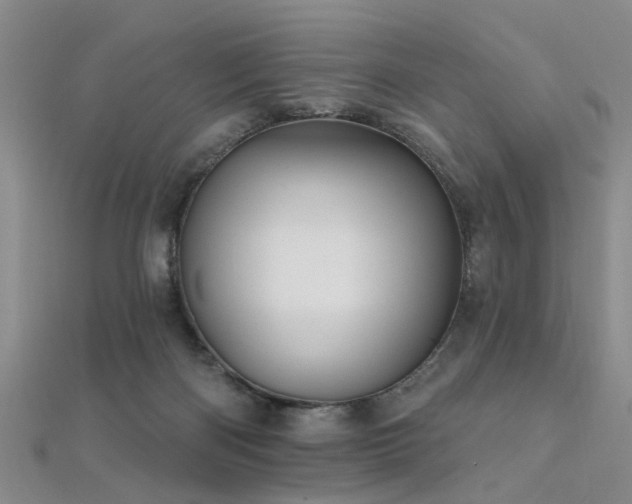 X0000112350122200908131436