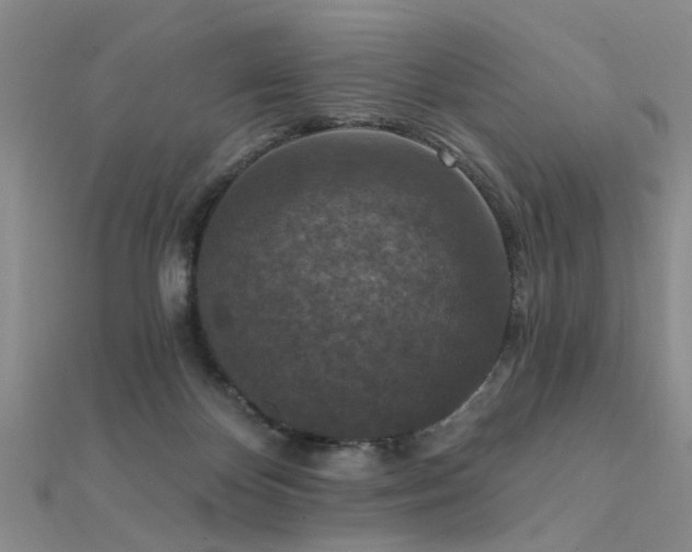 X0000112350124200908131436