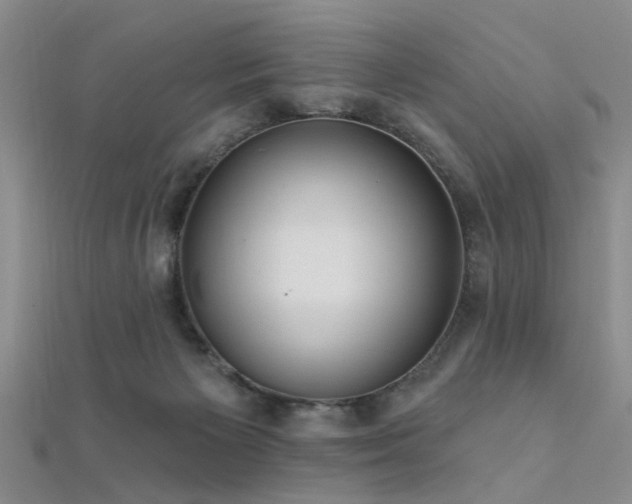 X0000112350125200908131436