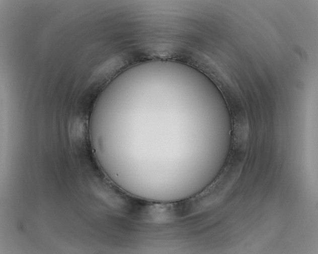 X0000112350126200908131436