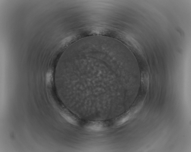 X0000112350127200908131436