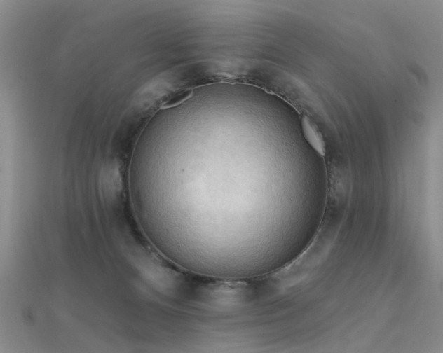 X0000112350128200908131436