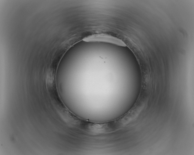 X0000112350129200908131436