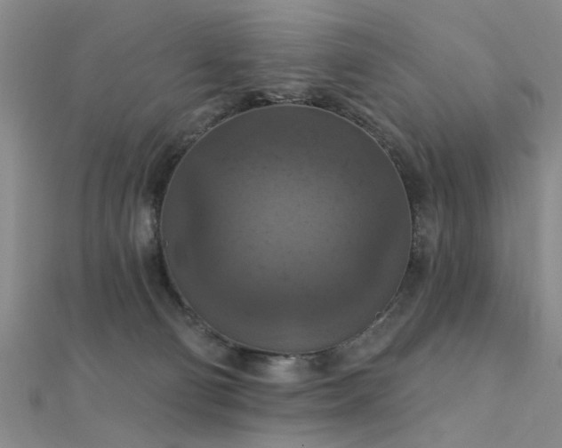 X0000112350130200908131436