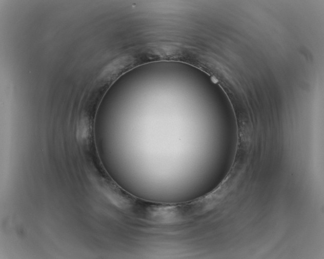 X0000112350132200908131436