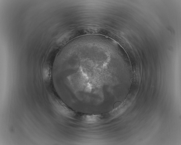 X0000112350134200908131436