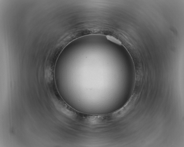 X0000112350136200908131436