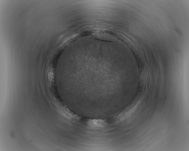X0000112350137200908131436