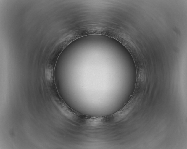 X0000112350138200908131436