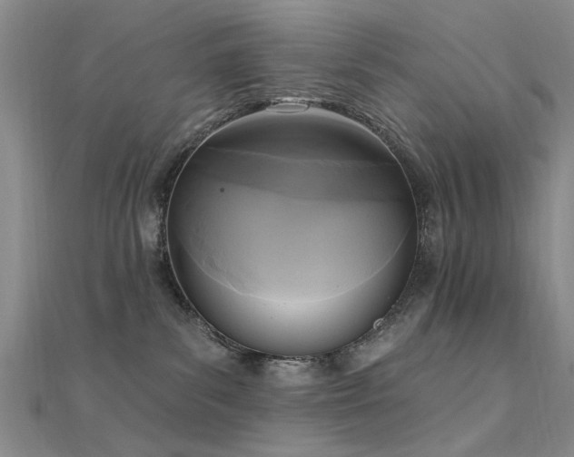X0000112350139200908131436