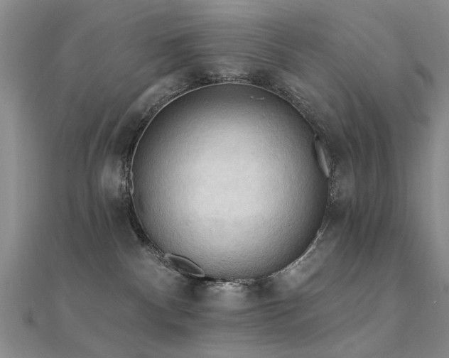 X0000112350140200908131436
