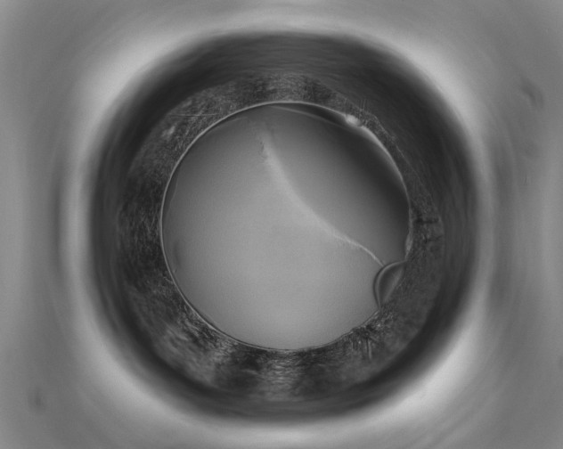 X0000112350143200908131436
