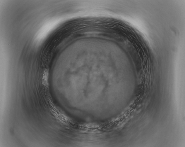 X0000112350146200908131435