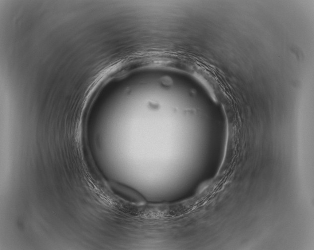 X0000112350148200908131435