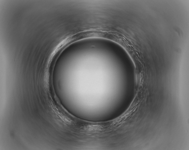 X0000112350150200908131435