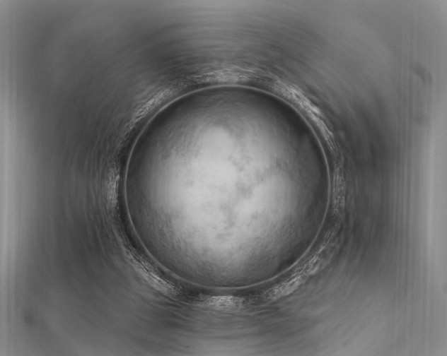 X0000112350153200908131435