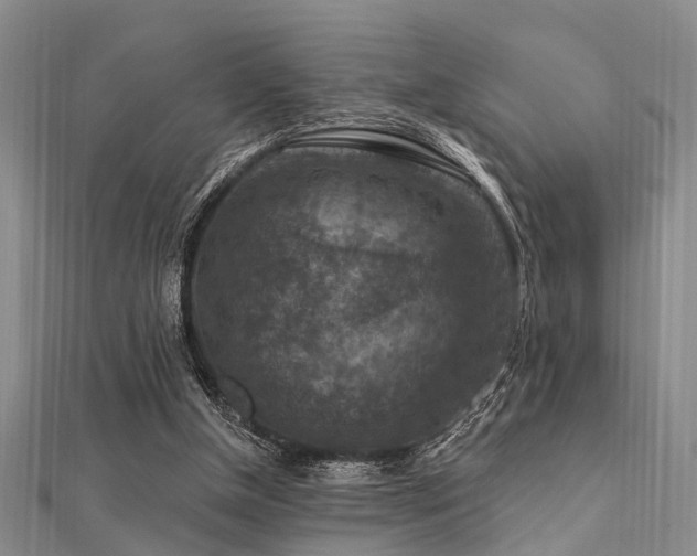 X0000112350154200908131435