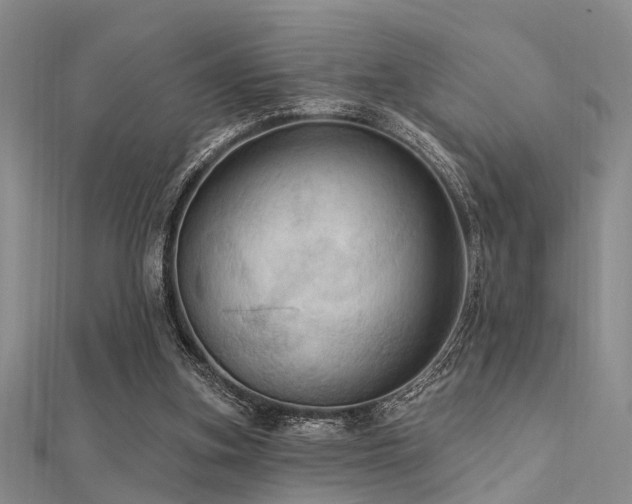 X0000112350155200908131435