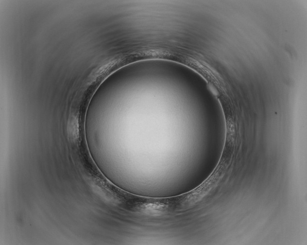 X0000112350158200908131436