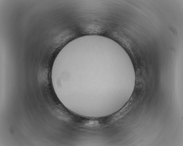 X0000112350162200908131436