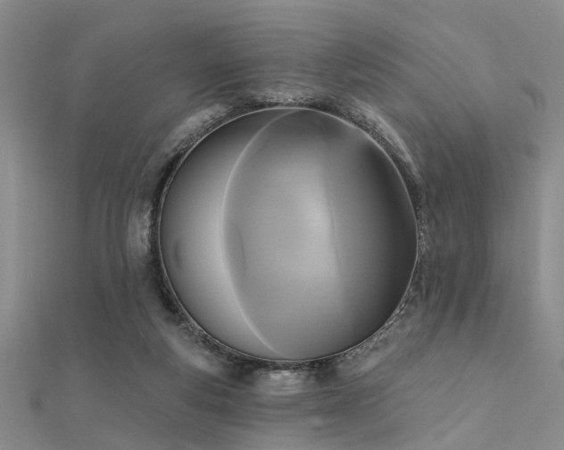 X0000112350163200908131436