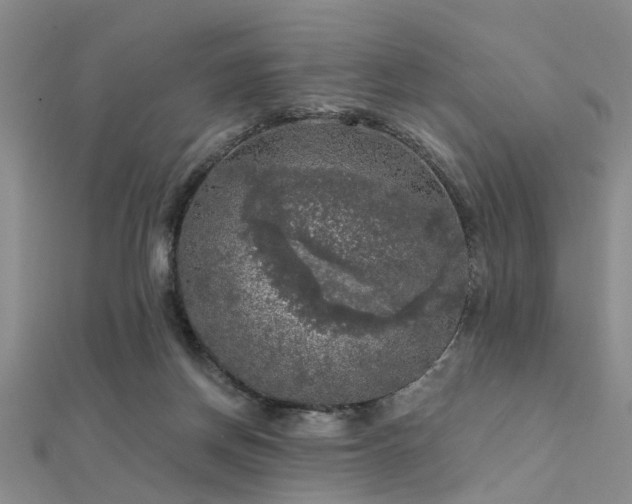 X0000112350166200908131436