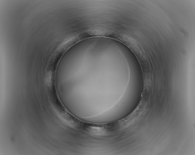 X0000112350167200908131436