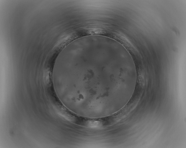 X0000112350169200908131436