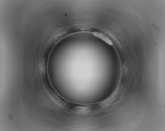 X0000112350170200908131436