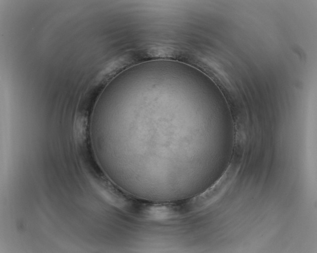 X0000112350171200908131436