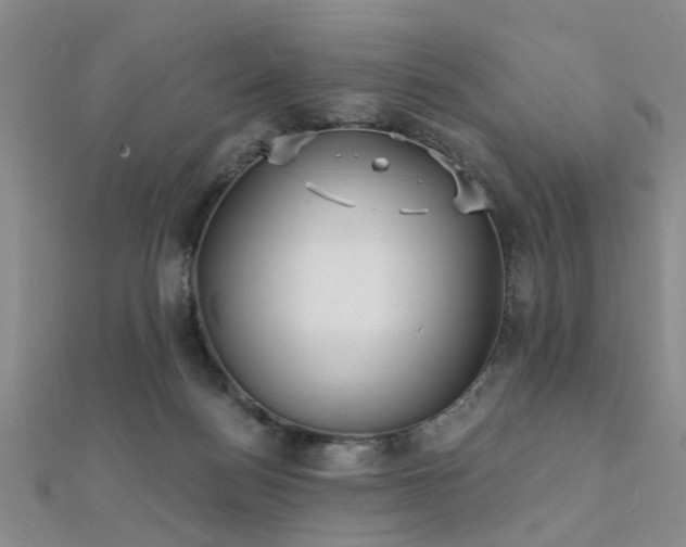 X0000112350172200908131436