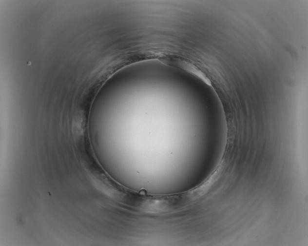 X0000112350174200908131436