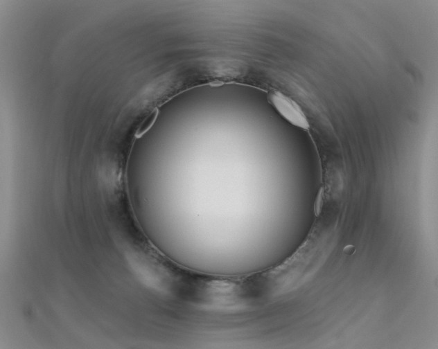 X0000112350176200908131436
