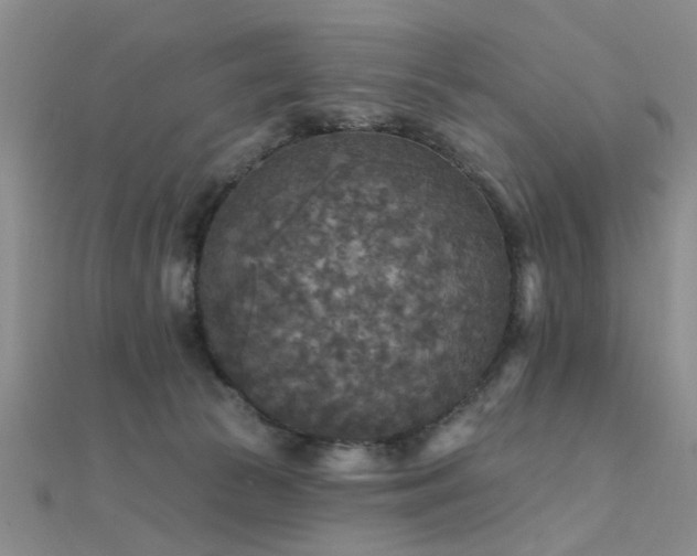 X0000112350177200908131436