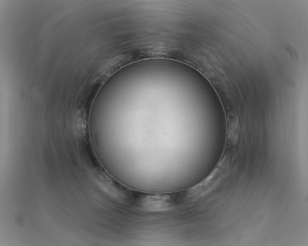 X0000112350179200908131436