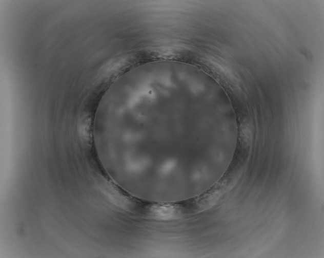 X0000112350181200908131436