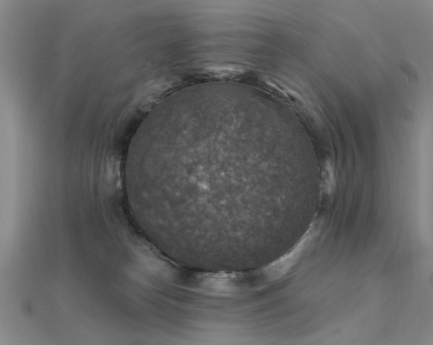 X0000112350182200908131436