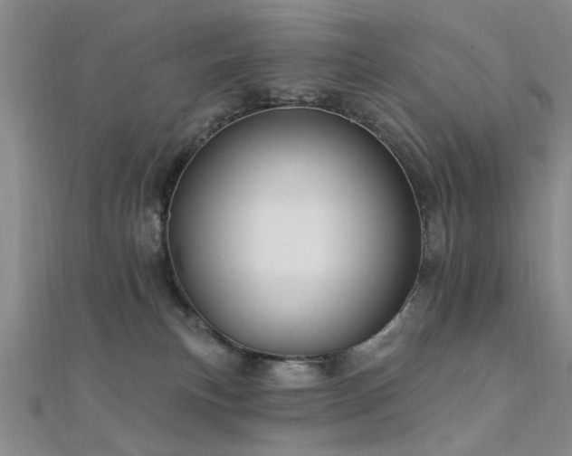 X0000112350183200908131436