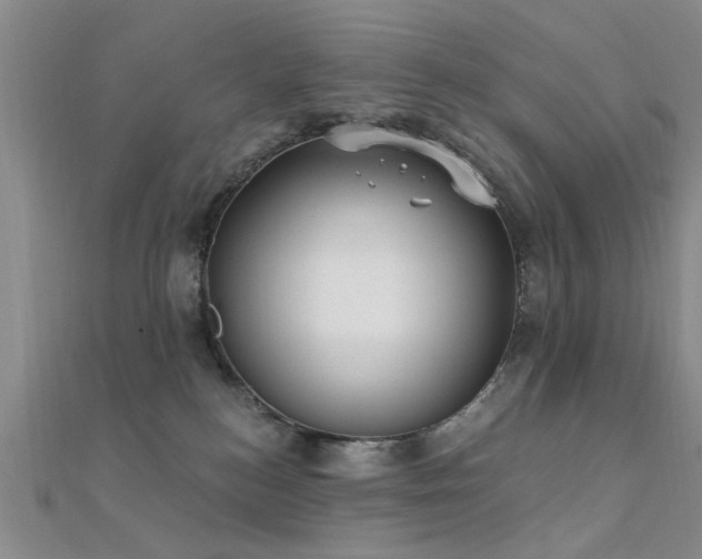 X0000112350184200908131436