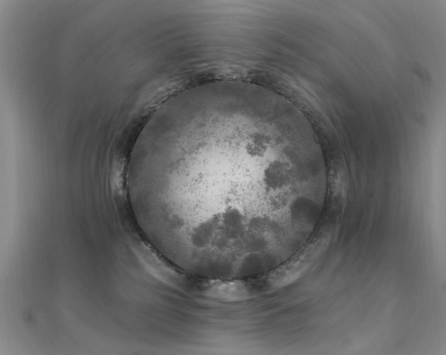 X0000112350185200908131436