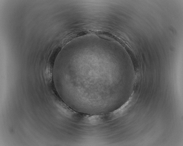 X0000112350186200908131436