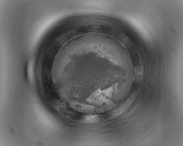 X0000112350189200908131436