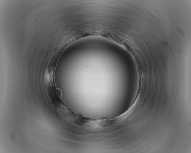 X0000112350190200908131436